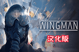 翼人计划（Project Wingman）Steam VR 汉化中文版下载