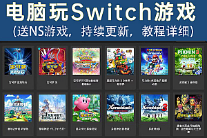 Switch模拟器 龙神 yuzu模拟器NS游戏pc电脑版支持手柄