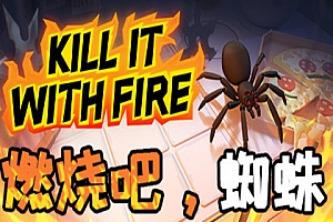 Oculus Quest 游戏《用火杀死它》Kill It With Fire VR